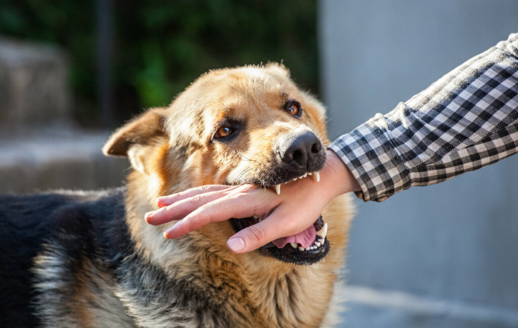 man experiencing a dog bite from large dog