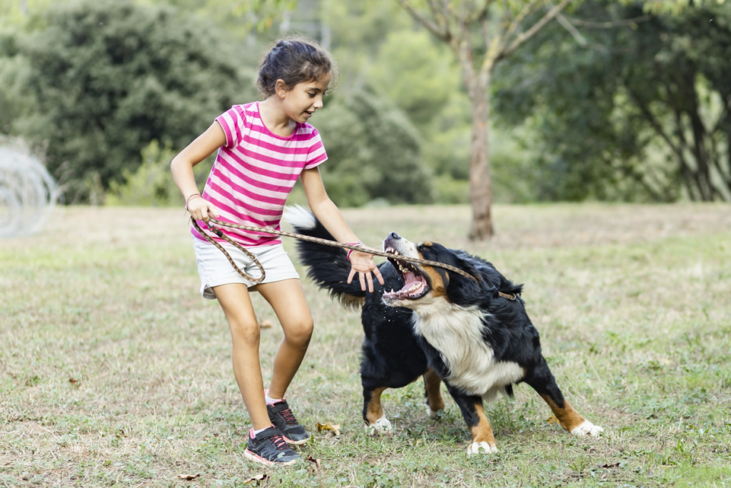 girl-walking-dog-that-is-trying-to-bite-her