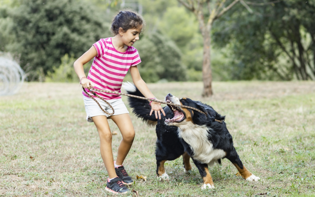 Dog Bites and Children: How to Prevent Tragic Incidents